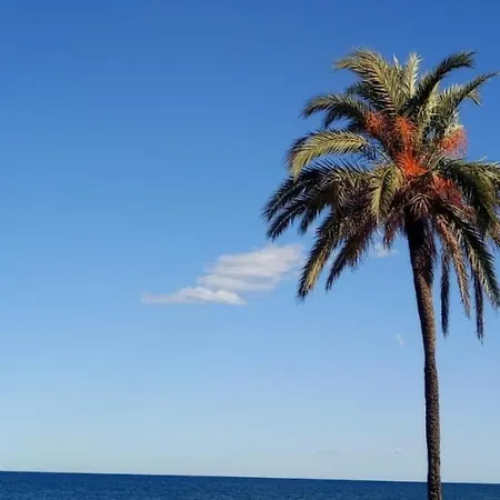 Tu Oasis De Descanso * Dénia